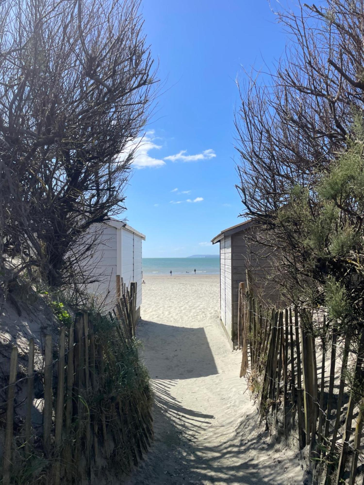 'Bramley Fall Cottage' ' On Site Ev Point - Attached Cottage,3 Separate Bedrooms -1 On Ground Level, Sleeps 6, 2 Bathrooms, Sandy Wittering Beach 8Min Drive, Rural Location, Child Friendly, Small Breed Dog Friendly, Private Parking Chichester Eksteriør bilde